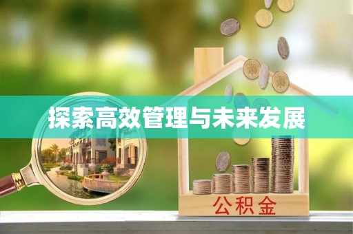 海端探索高效管理与未来发展