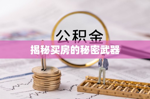 海端揭秘买房的秘密武器