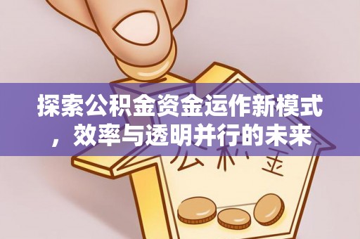 海端探索公积金资金运作新模式，效率与透明并行的未来