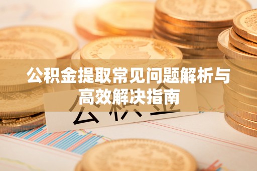 海端公积金提取常见问题解析与高效解决指南
