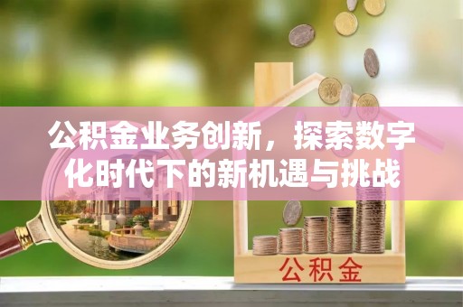 海端公积金业务创新，探索数字化时代下的新机遇与挑战