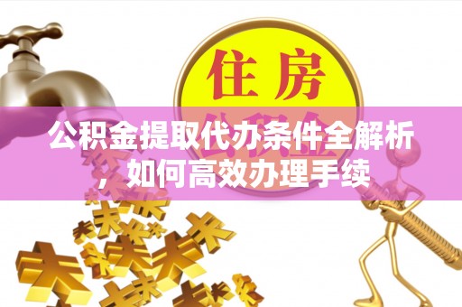 海端公积金提取代办条件全解析，如何高效办理手续