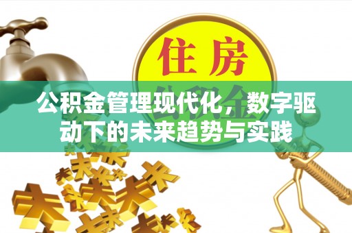 海端公积金管理现代化，数字驱动下的未来趋势与实践