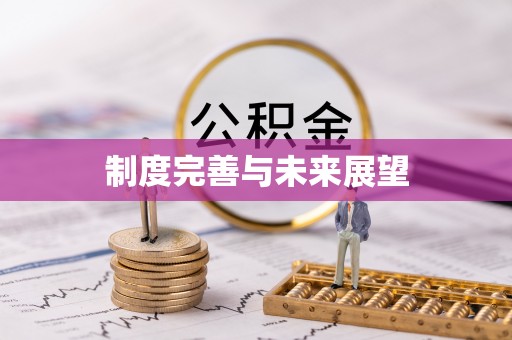海端制度完善与未来展望