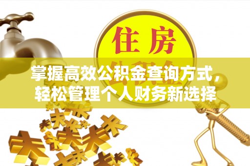 海端掌握高效公积金查询方式，轻松管理个人财务新选择