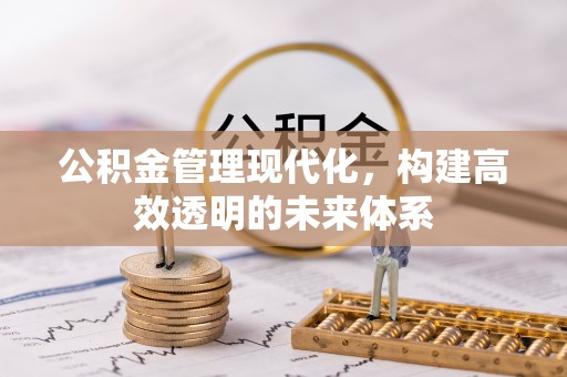 海端公积金管理现代化，构建高效透明的未来体系