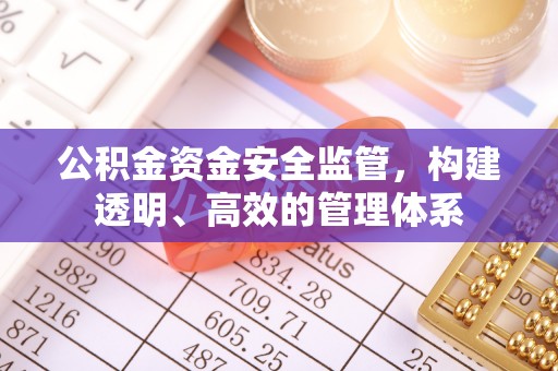 海端公积金资金安全监管，构建透明、高效的管理体系