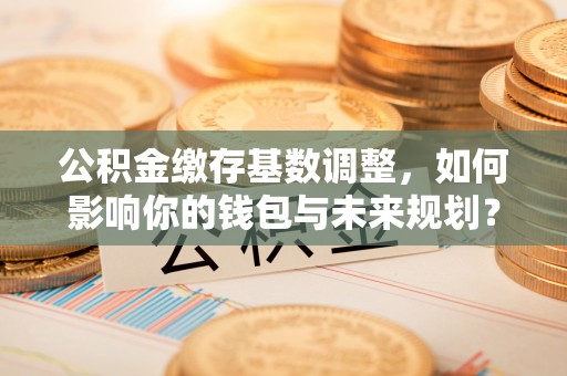 海端公积金缴存基数调整，如何影响你的钱包与未来规划？