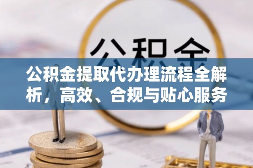 海端公积金提取代办理流程全解析，高效、合规与贴心服务