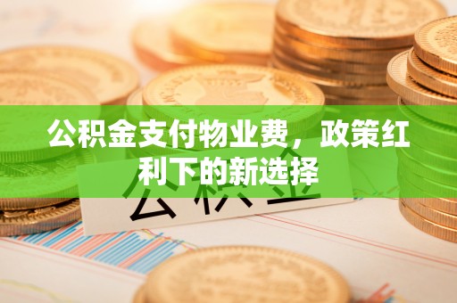海端公积金支付物业费，政策红利下的新选择