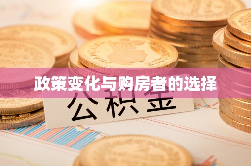海端政策变化与购房者的选择