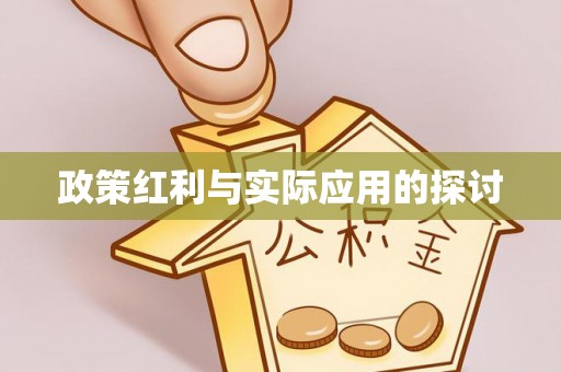 海端政策红利与实际应用的探讨