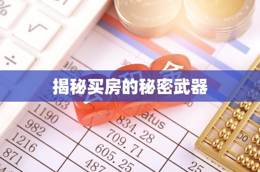 海端揭秘买房的秘密武器