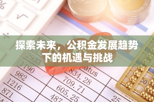 海端探索未来，公积金发展趋势下的机遇与挑战