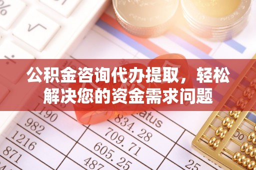 海端公积金咨询代办提取，轻松解决您的资金需求问题