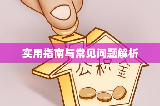 海端实用指南与常见问题解析