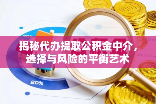 海端揭秘代办提取公积金中介，选择与风险的平衡艺术