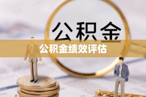 海端公积金绩效评估