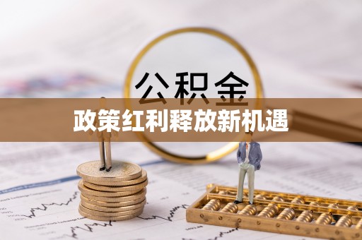 海端政策红利释放新机遇