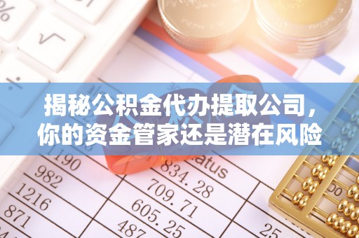 海端揭秘公积金代办提取公司，你的资金管家还是潜在风险？