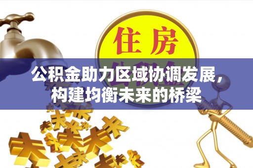 海端公积金助力区域协调发展，构建均衡未来的桥梁