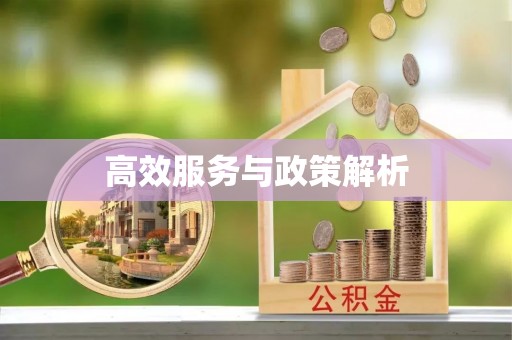 海端高效服务与政策解析
