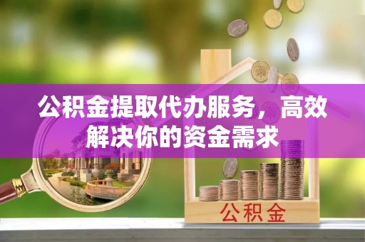 海端公积金提取代办服务，高效解决你的资金需求