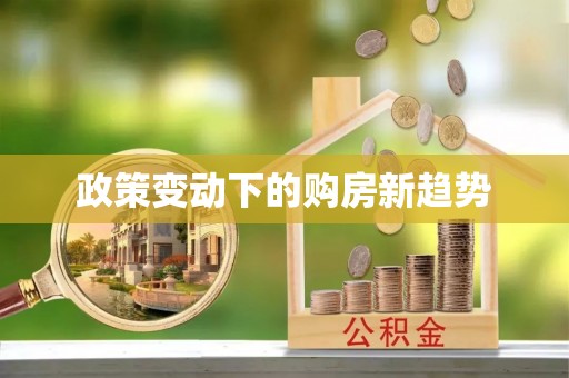 海端政策变动下的购房新趋势