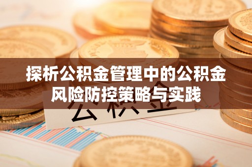 海端探析公积金管理中的公积金风险防控策略与实践