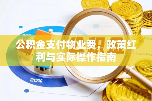 海端公积金支付物业费，政策红利与实际操作指南