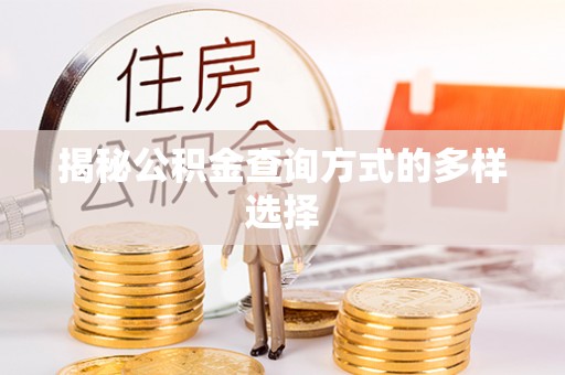海端揭秘公积金查询方式的多样选择