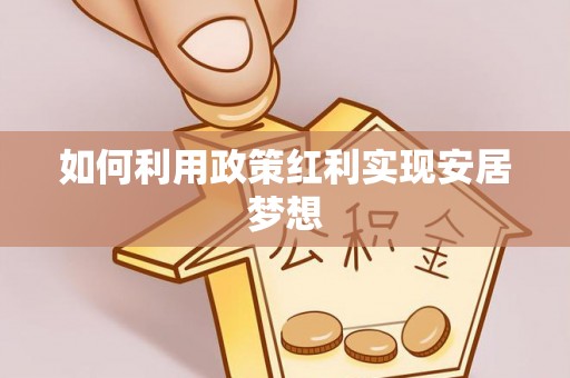 海端如何利用政策红利实现安居梦想