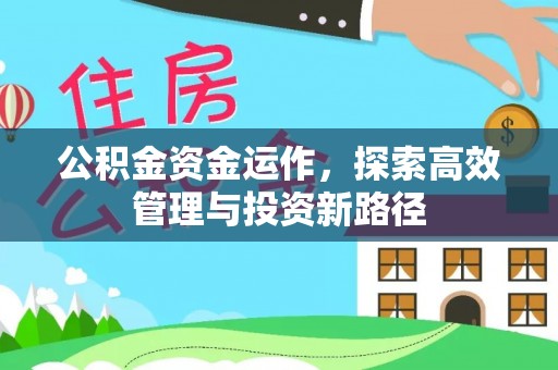 海端公积金资金运作，探索高效管理与投资新路径