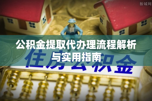 海端公积金提取代办理流程解析与实用指南