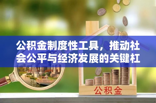 海端公积金制度性工具，推动社会公平与经济发展的关键杠杆