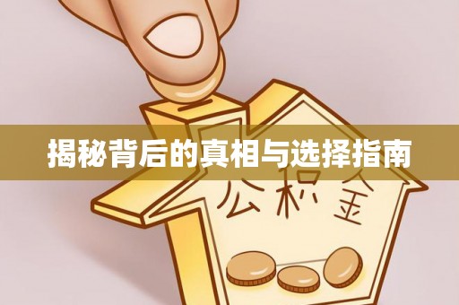 海端揭秘背后的真相与选择指南