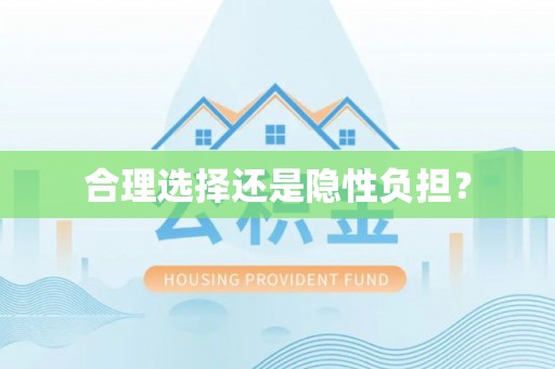 海端合理选择还是隐性负担？
