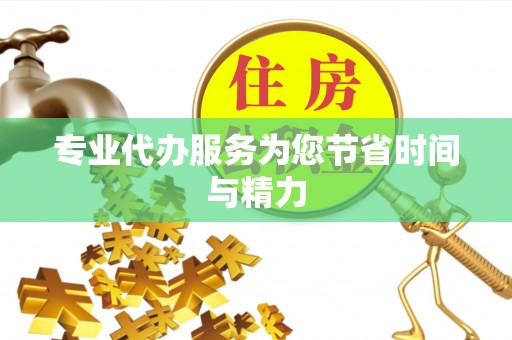 海端专业代办服务为您节省时间与精力