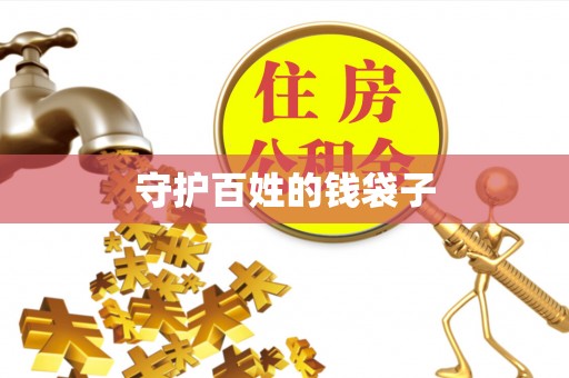 海端守护百姓的钱袋子