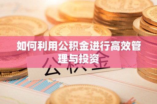 海端如何利用公积金进行高效管理与投资