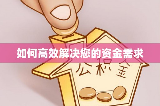 海端如何高效解决您的资金需求