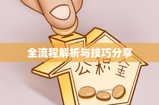 海端全流程解析与技巧分享