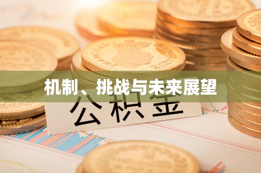 海端机制、挑战与未来展望